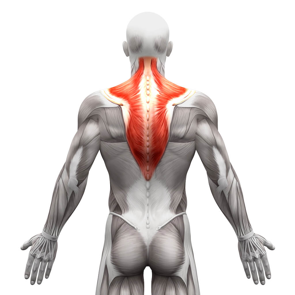 back pain alexander technique